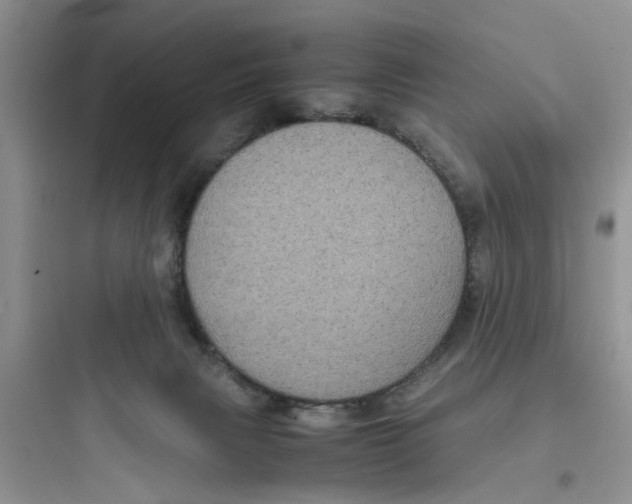 X0000097640079200803211842