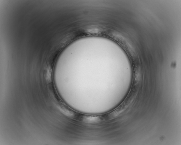 X0000097640081200803211842