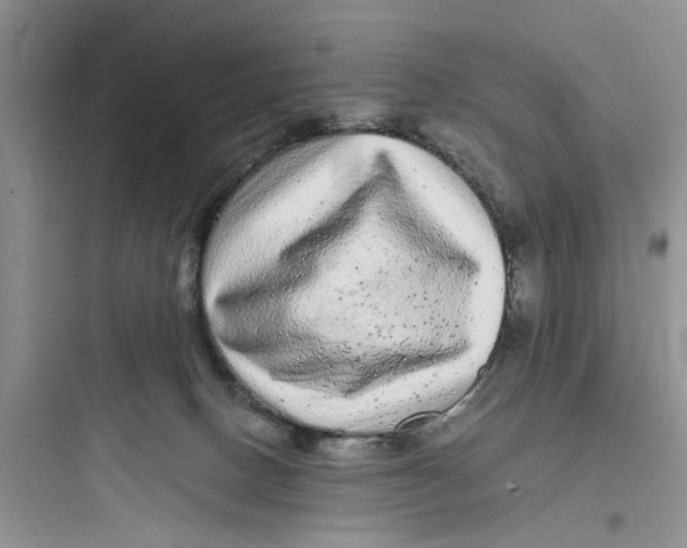 X0000097640082200803211842