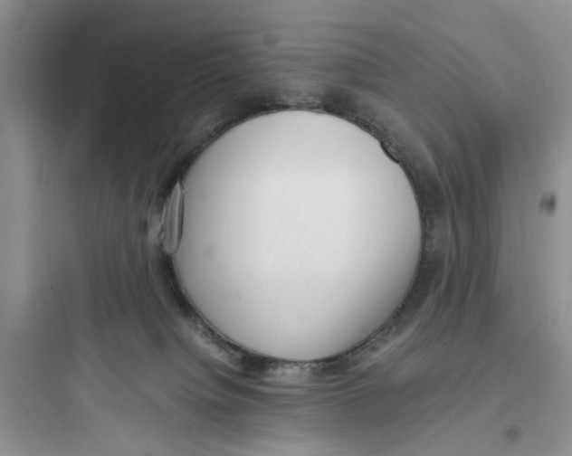 X0000097640084200803211842