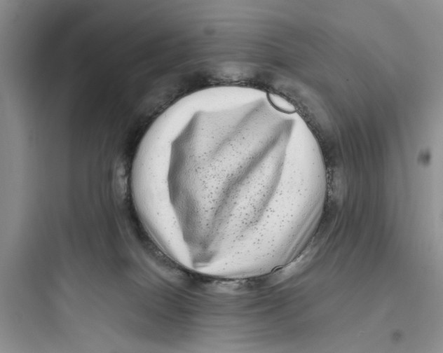 X0000097640086200803211842