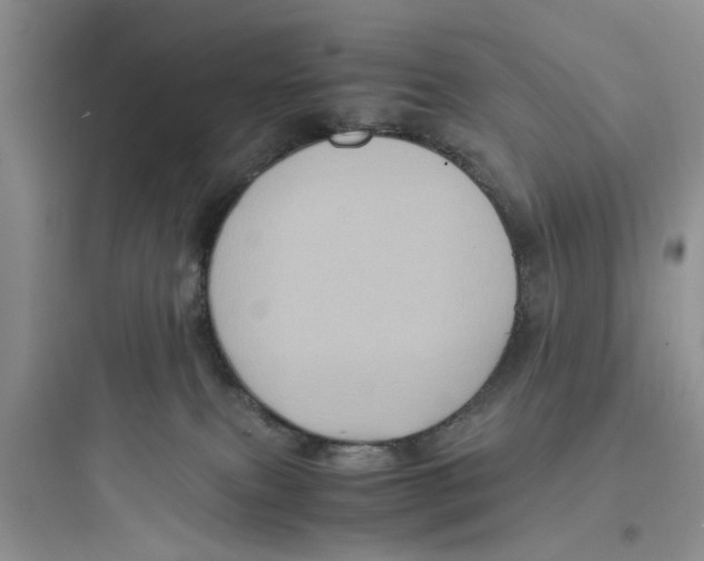 X0000097640087200803211842