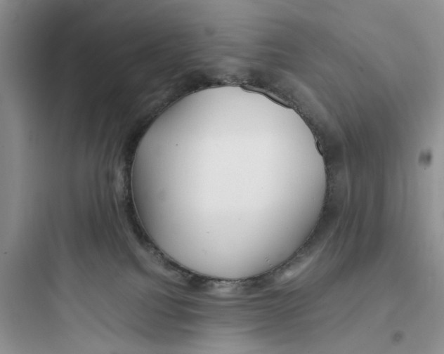 X0000097640088200803211842