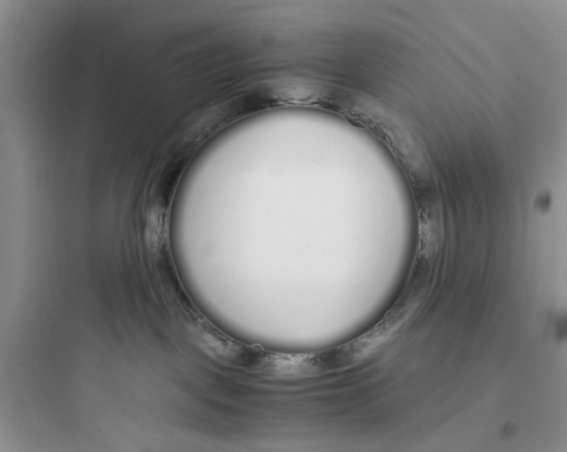 X0000097640093200803211842