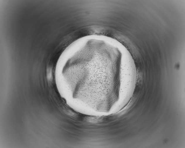 X0000097640094200803211842