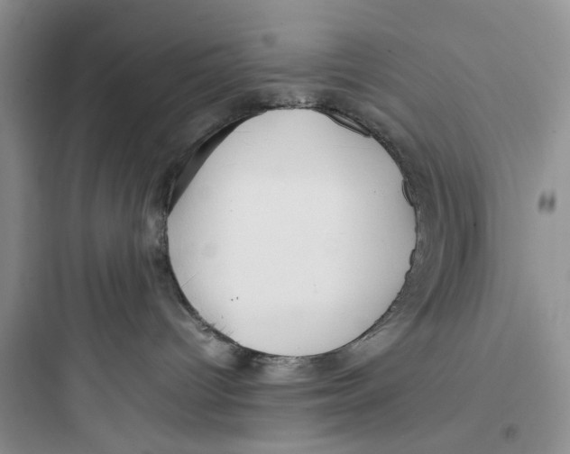 X0000097640096200803211842