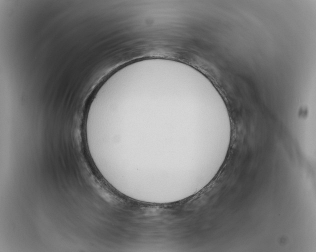 X0000097640098200803211841