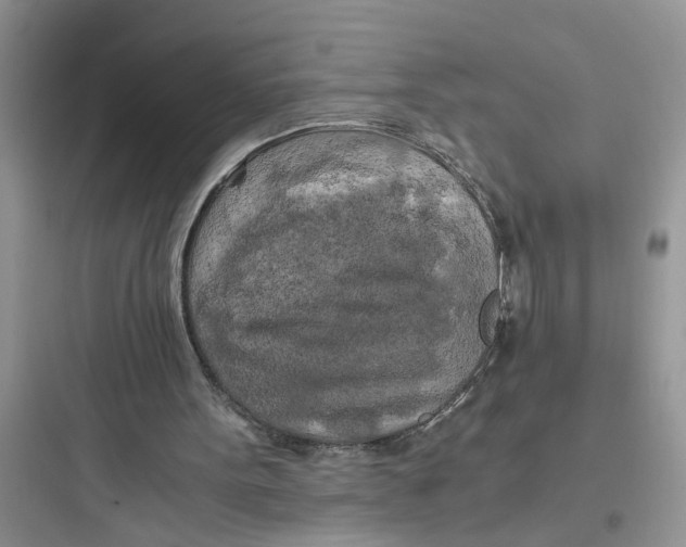 X0000097640099200803211841