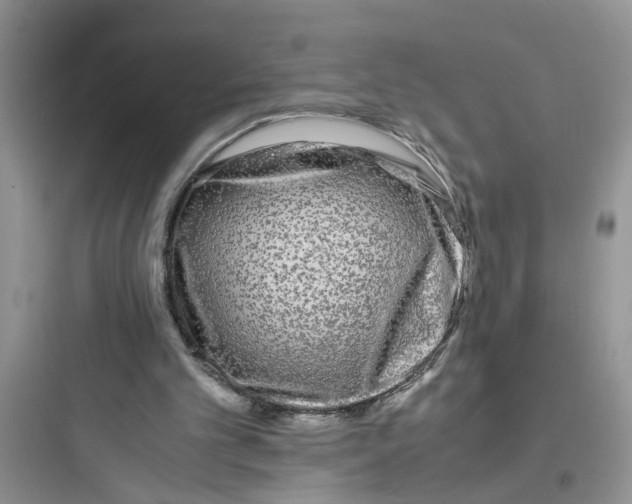 X0000097640101200803211841