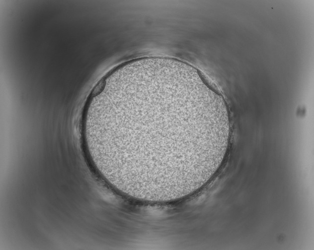 X0000097640103200803211841