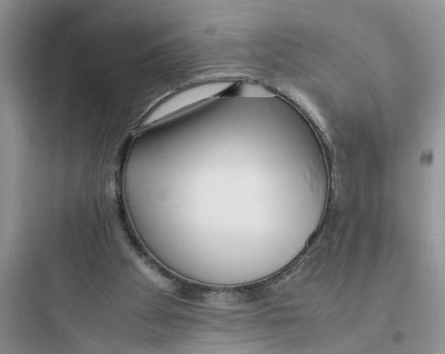 X0000097640105200803211841