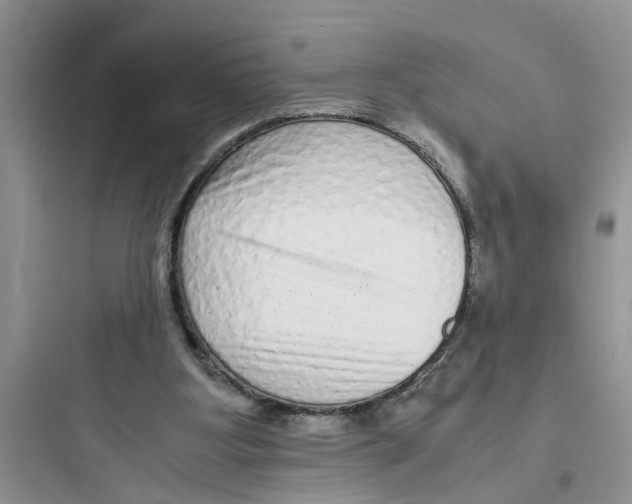 X0000097640107200803211841