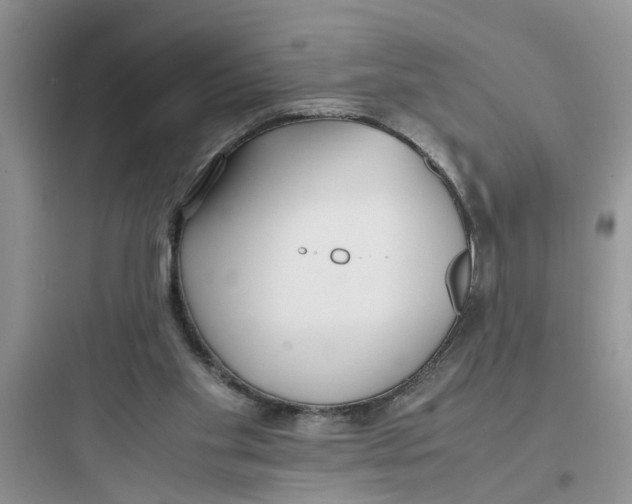 X0000097640109200803211841