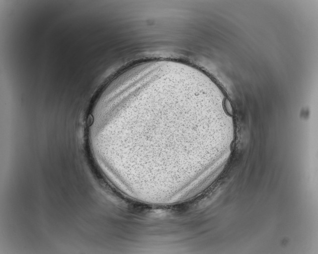 X0000097640111200803211841