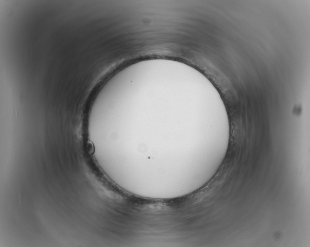 X0000097640112200803211841