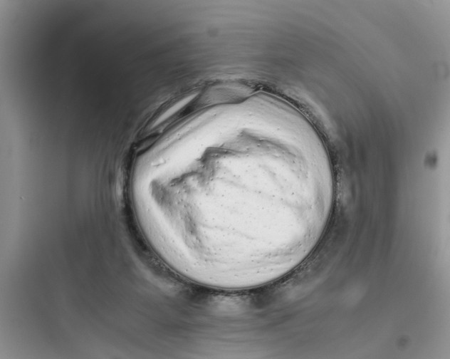 X0000097640115200803211841