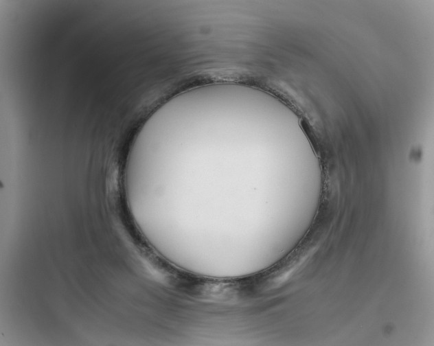 X0000097640117200803211841