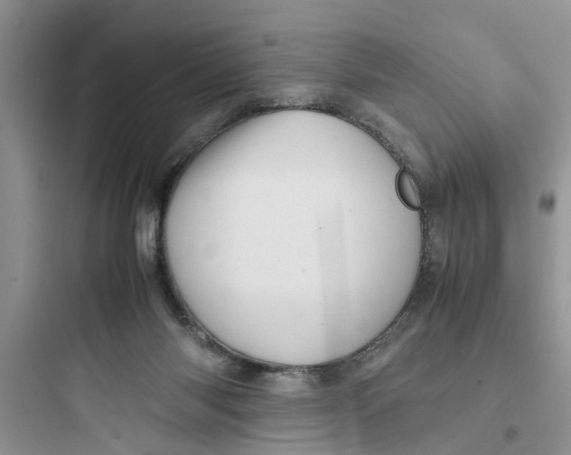 X0000097640118200803211841