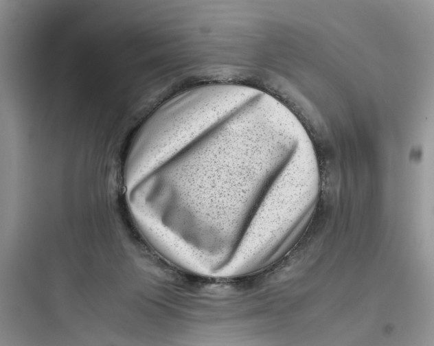 X0000097640119200803211841