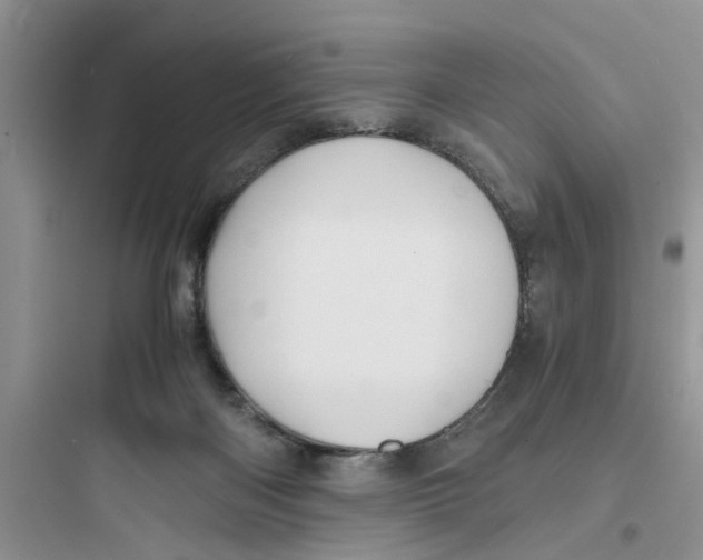 X0000097640122200803211841