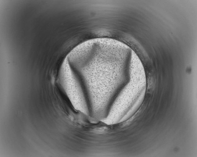 X0000097640124200803211841