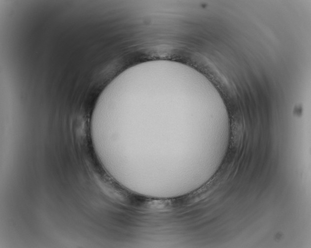 X0000097640126200803211841