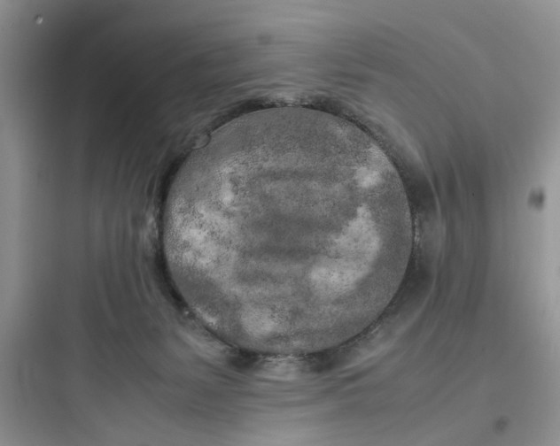 X0000097640127200803211841