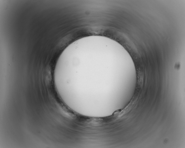 X0000097640128200803211841