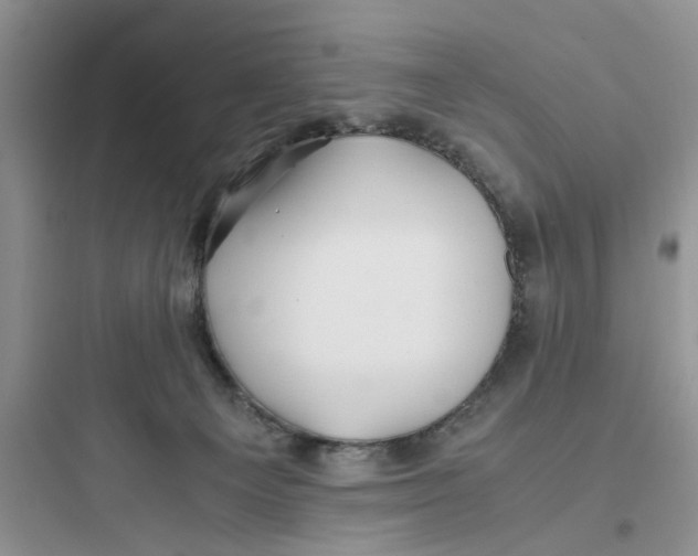 X0000097640129200803211841