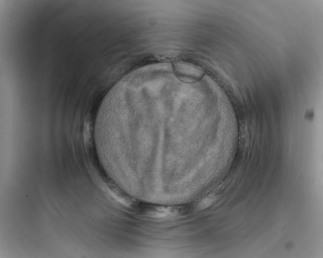 X0000097640130200803211841