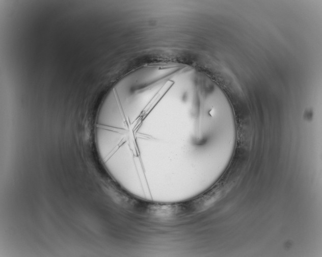 X0000097640131200803211841