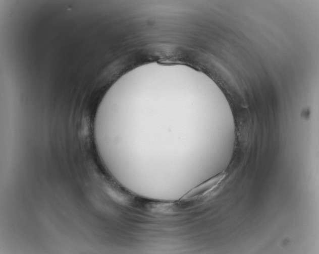 X0000097640132200803211841