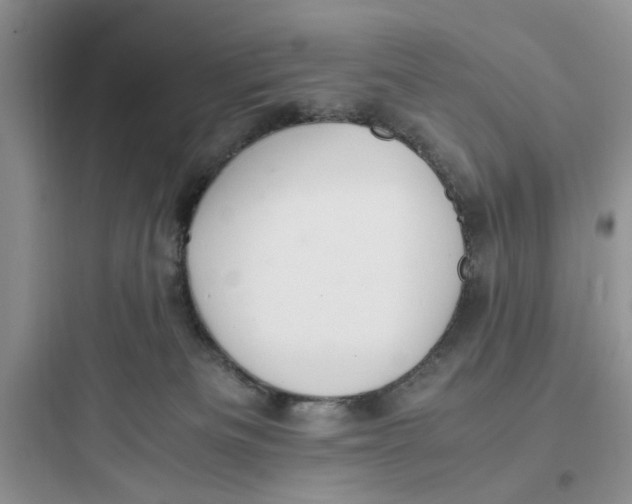 X0000097640133200803211841