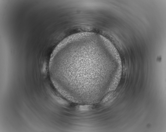 X0000097640134200803211841