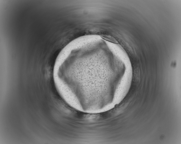 X0000097640135200803211841