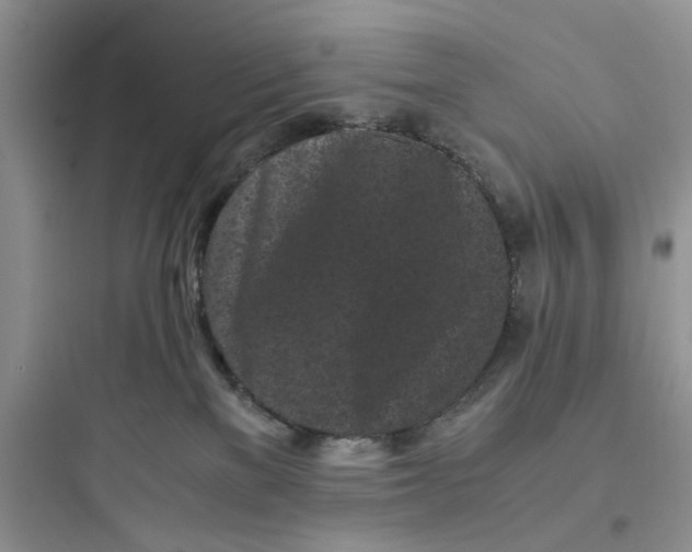 X0000097640137200803211841