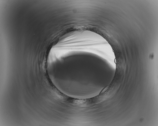 X0000097640139200803211841