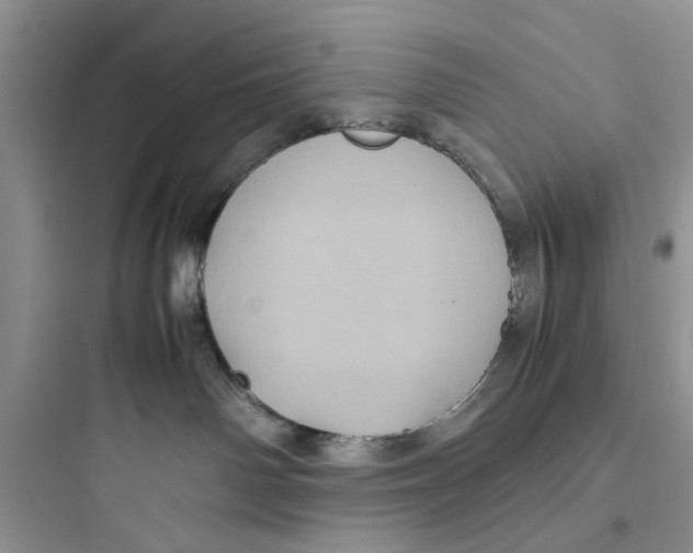 X0000097640142200803211841