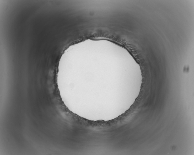 X0000097640144200803211841