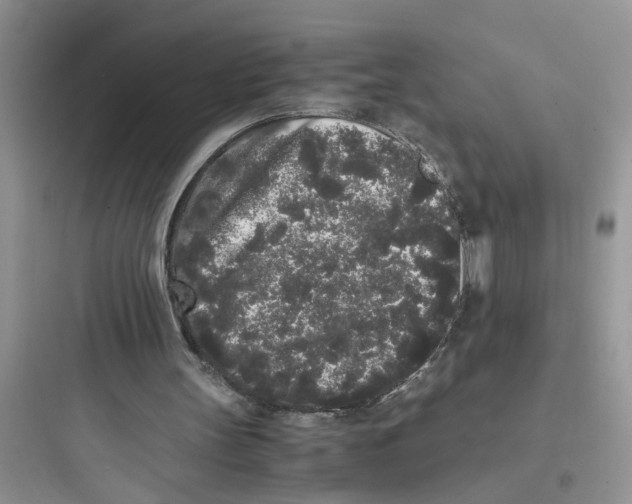 X0000097640147200803211840