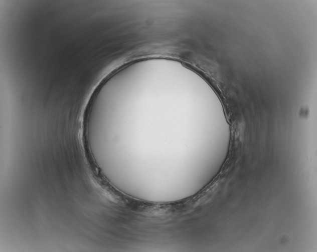 X0000097640148200803211840