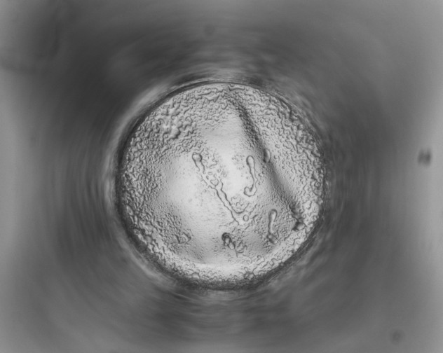 X0000097640149200803211840