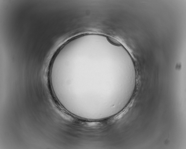 X0000097640151200803211840