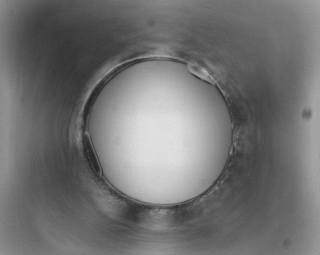 X0000097640152200803211840