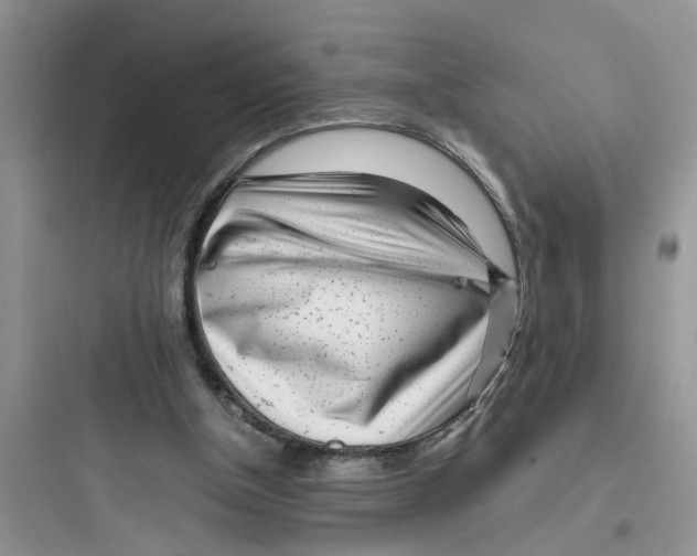 X0000097640154200803211840