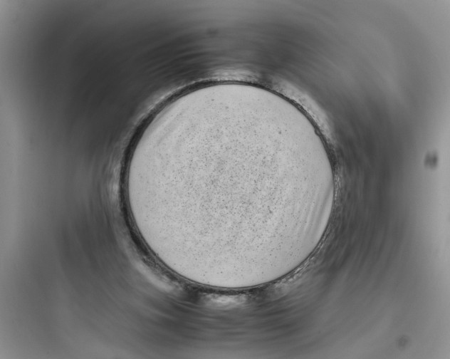 X0000097640155200803211840