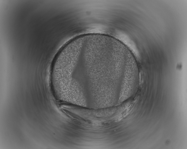 X0000097640156200803211840