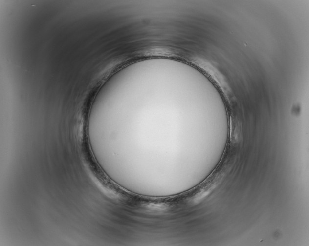 X0000097640157200803211840