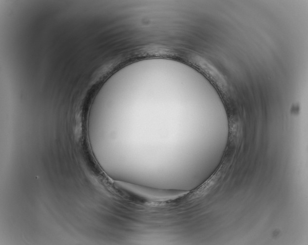 X0000097640158200803211840