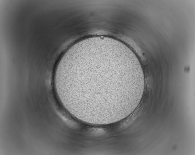 X0000097640159200803211840